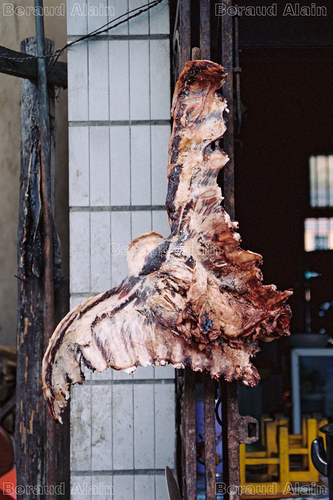 Chine Oiseau de chair